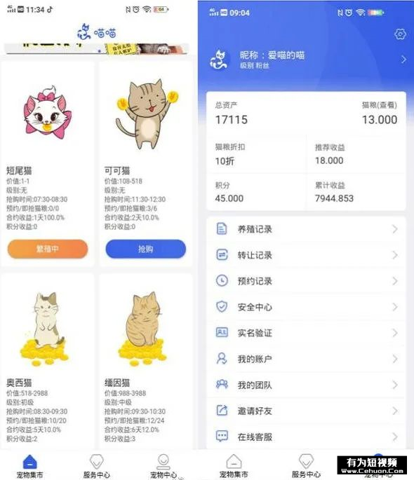 揭秘：號(hào)稱零擼的“養(yǎng)貓賺錢”騙局套路！