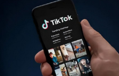 tiktok私域教程 tiktok怎么查賬號 - 策幻網(wǎng)