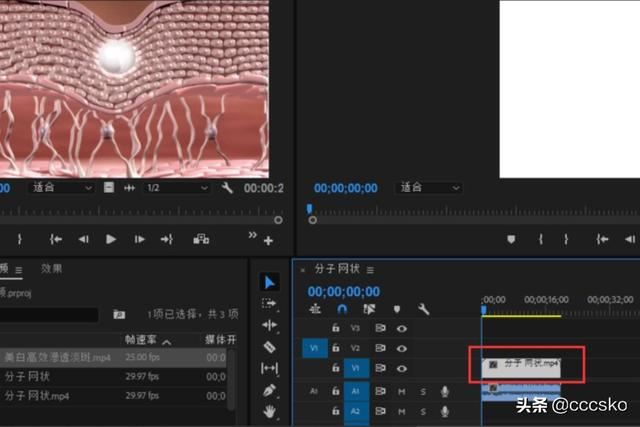 pr模板怎樣替換視頻素材圖片？三種方法？