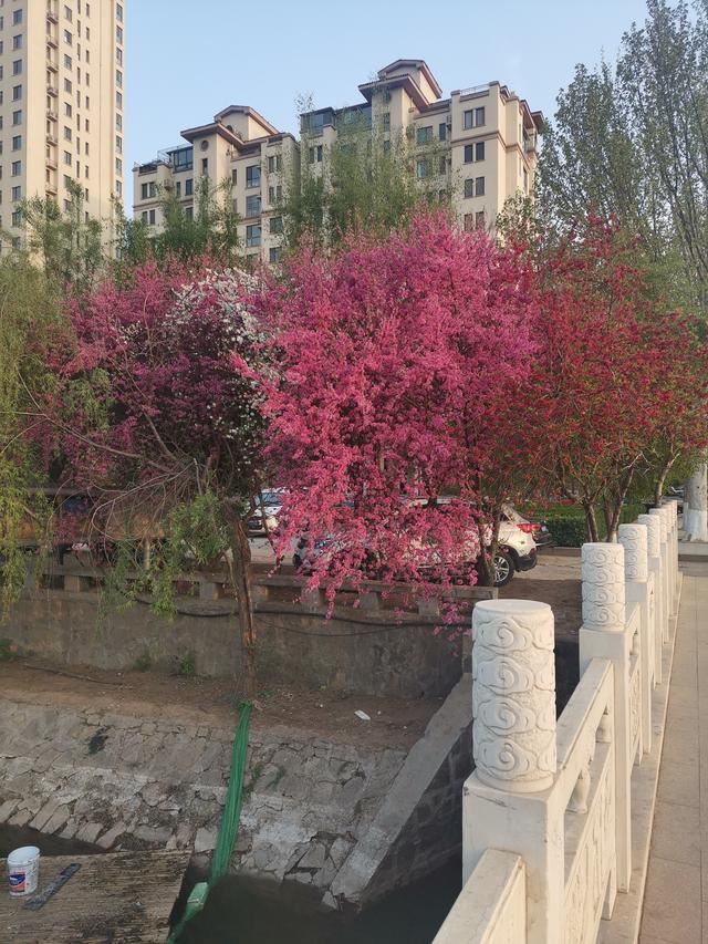 抖音極速版全民漲現(xiàn)金可以助力幾次？