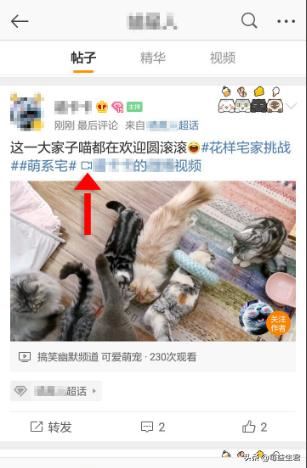微博超話里的視頻怎么保存到手機(jī)里？