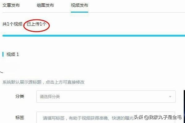 大魚號(hào)怎么上傳視頻，怎么發(fā)視頻？