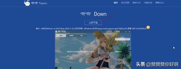 如何在電腦上下載嗶哩嗶哩(B站)的視頻？