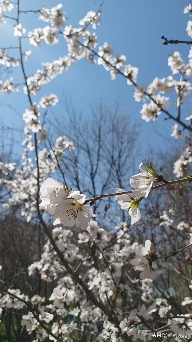 視頻過(guò)長(zhǎng)怎么發(fā)送微信，微信沒(méi)辦法發(fā)送？