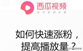 西瓜視頻如何快速漲粉，提高播放量？