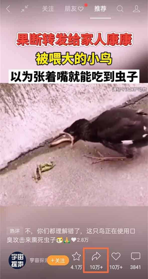 怎樣把視頻轉(zhuǎn)發(fā)給朋友？