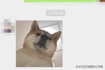 如何在微信對(duì)話中找到以前發(fā)過的照片、視頻？