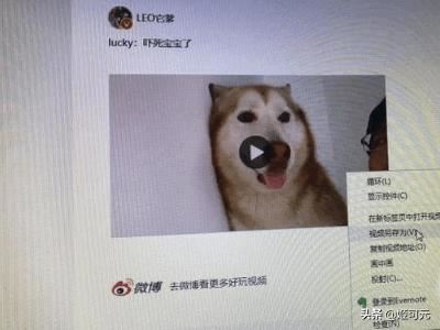 如何下載新浪微博里的視頻？