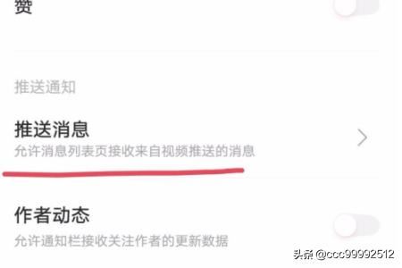 vivo手機視頻里如何關閉推送消息？
