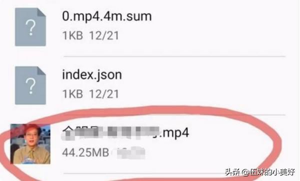 如何把bilibili手機(jī)客戶端下載的視頻拷到優(yōu)盤？