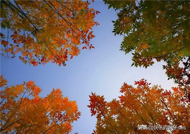 誰推薦幾首適合做旅游視頻背景音樂的歌曲最好？