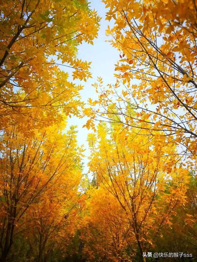 誰推薦幾首適合做旅游視頻背景音樂的歌曲最好？