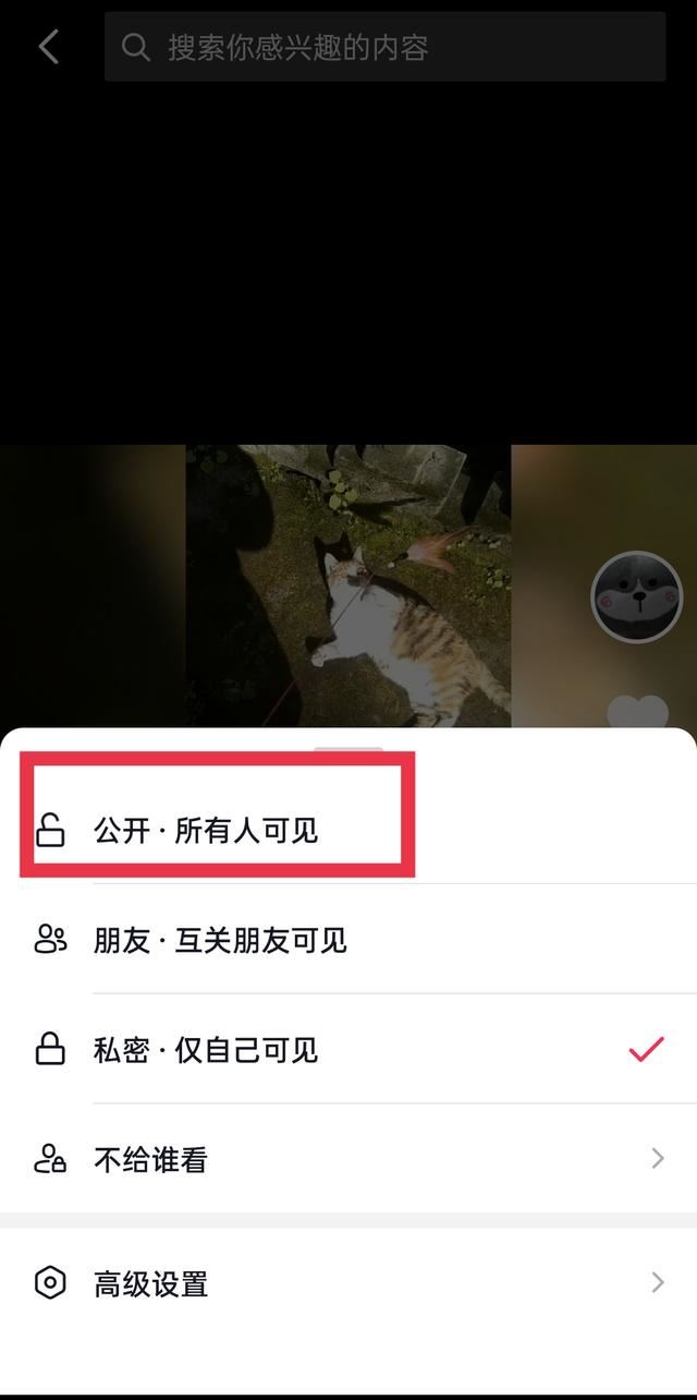 視頻怎樣取消設(shè)為私密的設(shè)置？