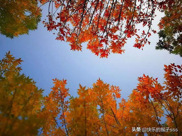 誰推薦幾首適合做旅游視頻背景音樂的歌曲最好？