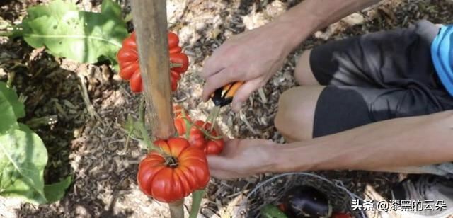 拍視頻可以掙錢嗎？