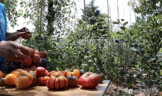 拍視頻可以掙錢嗎？