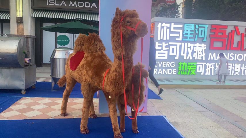 抖音怎么一張照片配一句話(huà)？