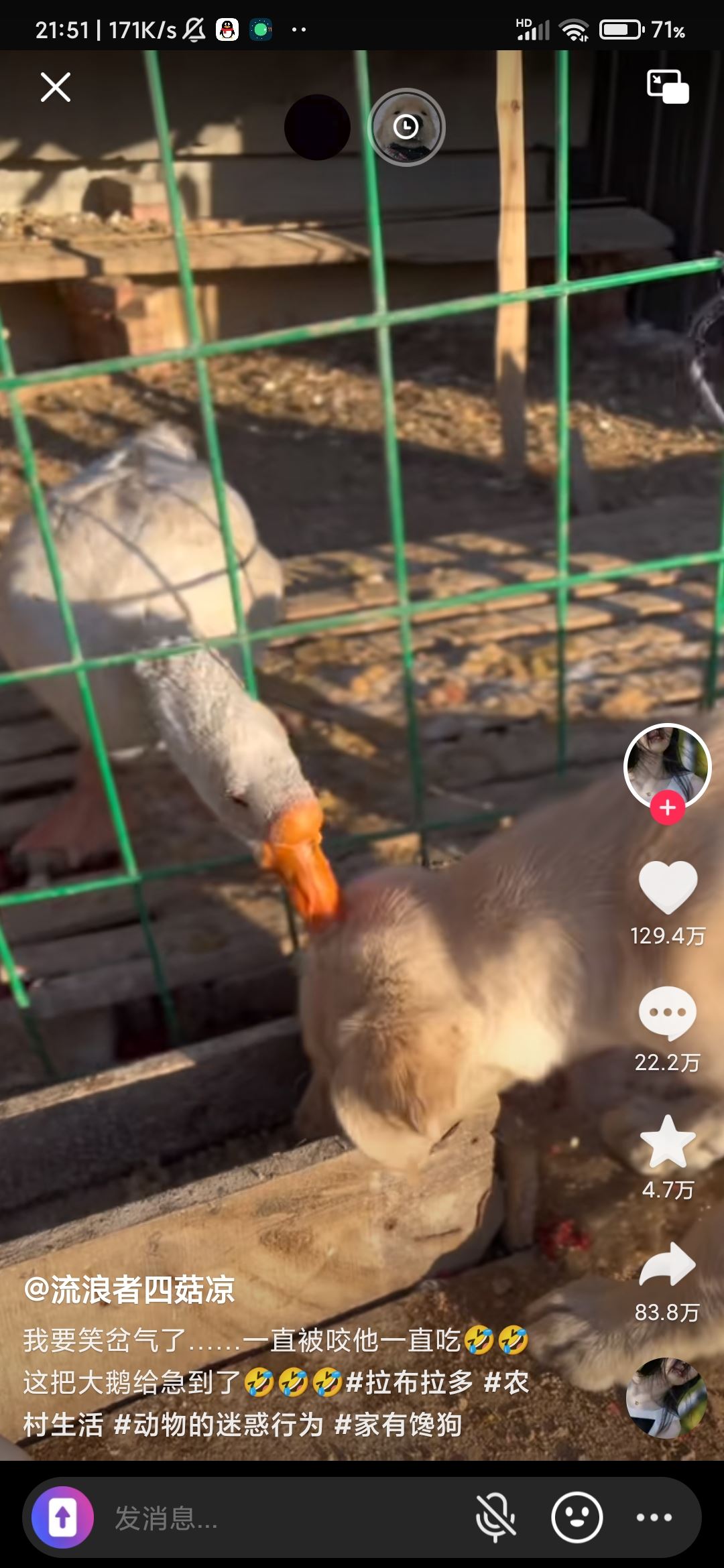 抖音怎么共享視頻兩個(gè)人一起看？