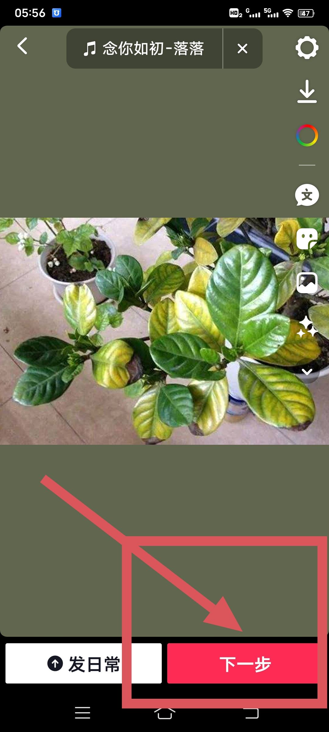 抖音圖文作品怎么發(fā)？