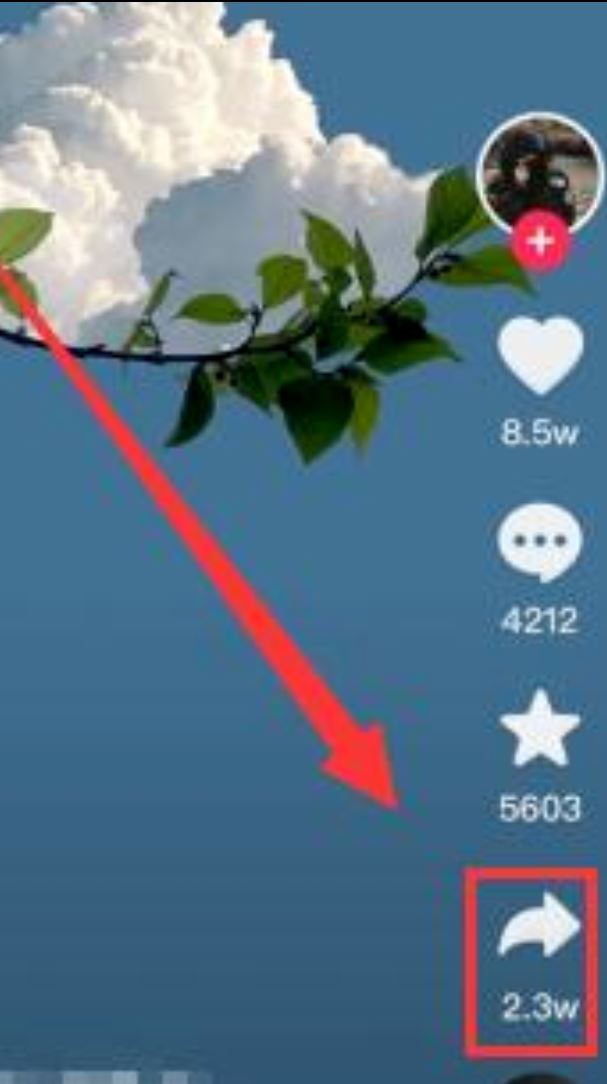 抖音里的合拍是怎么合拍的？