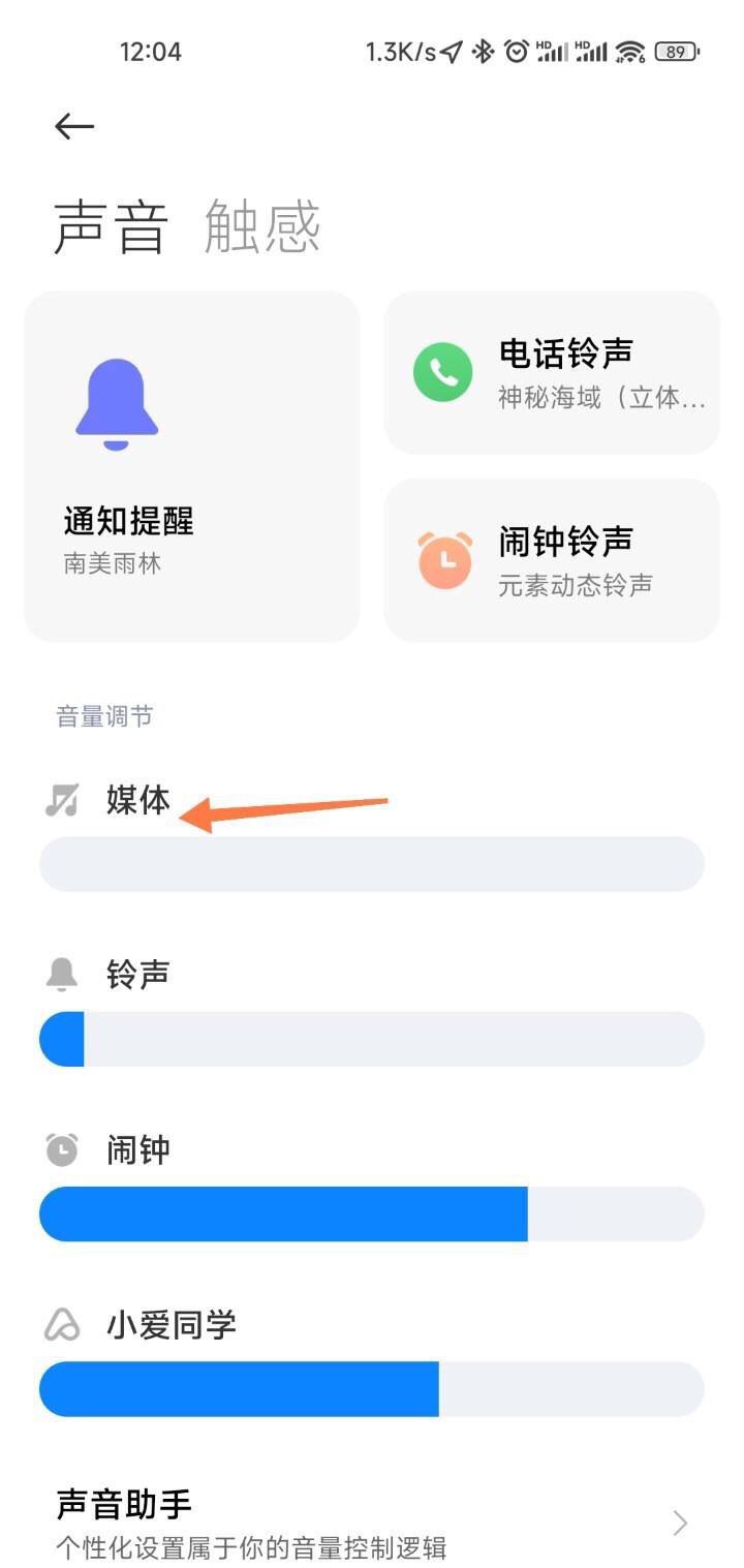 抖音沒(méi)有聲音了怎么設(shè)置？