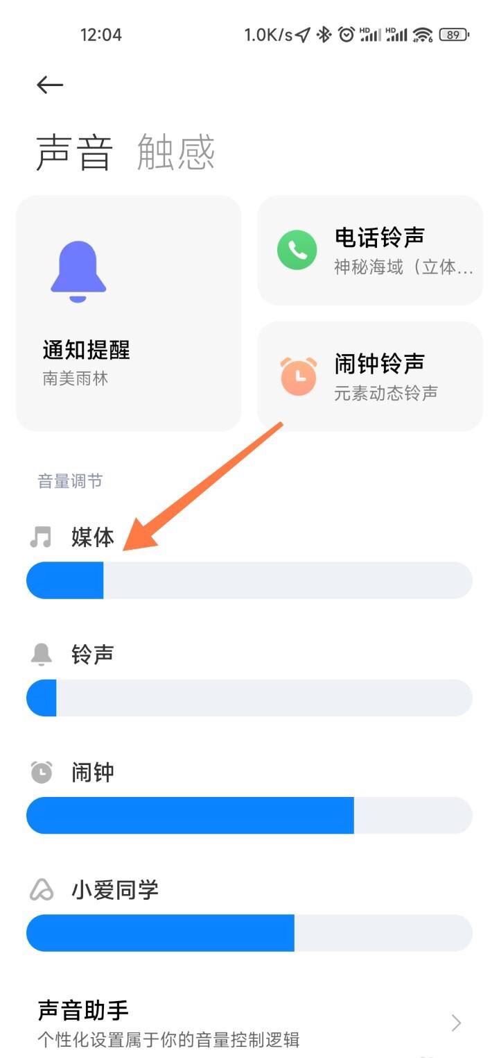 抖音沒(méi)有聲音了怎么設(shè)置？