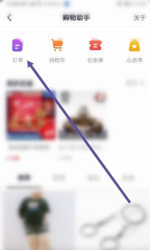 在抖音用支付寶買了東西怎么看？