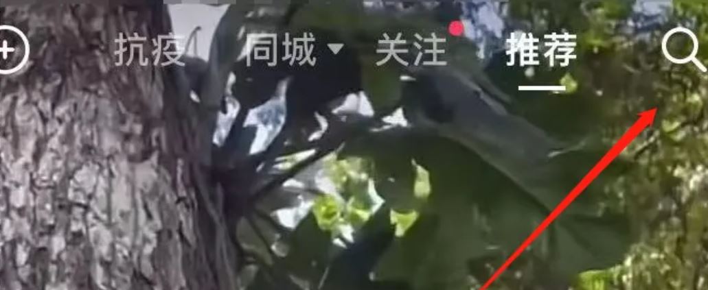 抖音等級(jí)怎么才能上升得快？