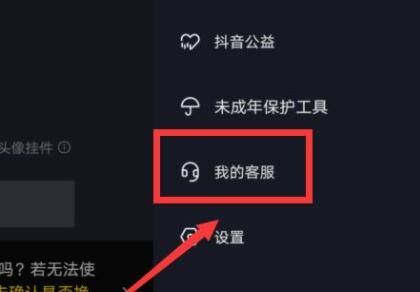 在抖音里買東西怎么官方介入？