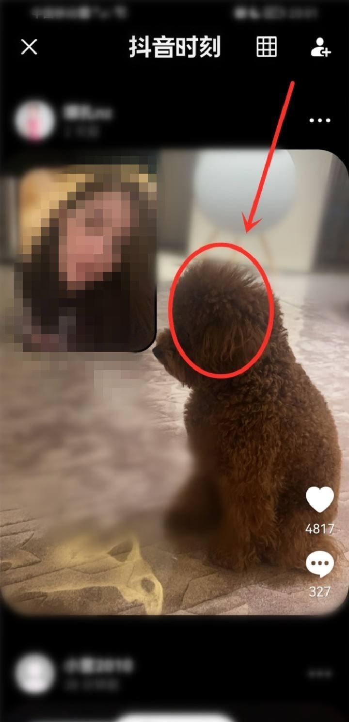 別人的抖音時(shí)刻怎么看？