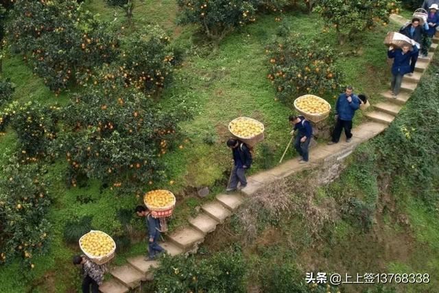 拼多多無貨源怎么發(fā)貨？無貨源一件代發(fā)怎么做？