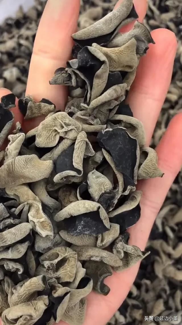 本人想做農(nóng)產(chǎn)品收購(gòu)，應(yīng)該怎樣才能找到更多的貨源？/？