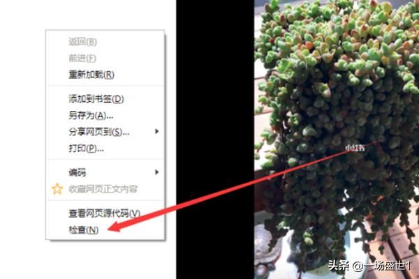 怎么下載保存電腦網(wǎng)頁版小紅書上的視頻？
