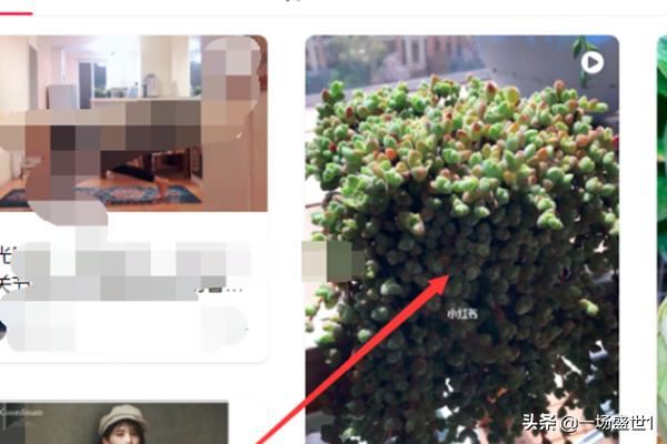 怎么下載保存電腦網(wǎng)頁版小紅書上的視頻？