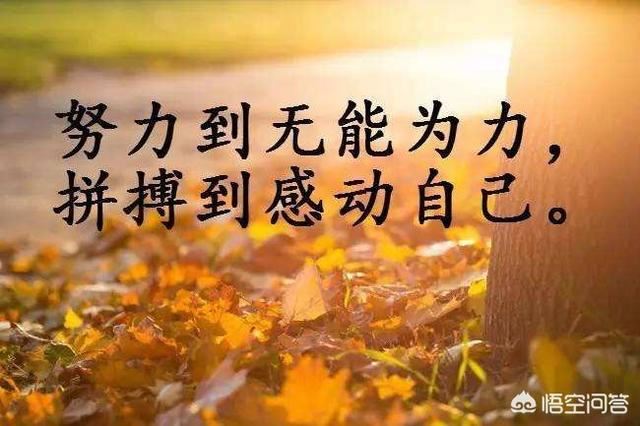 我的抖音被好友拉黑了可以看到好友動(dòng)態(tài)嗎？