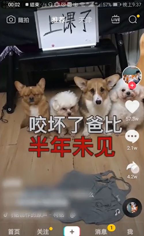 抖音音樂(lè)怎么設(shè)置為鈴音？