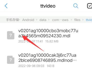 頭條視頻如何轉(zhuǎn)換成mp4？