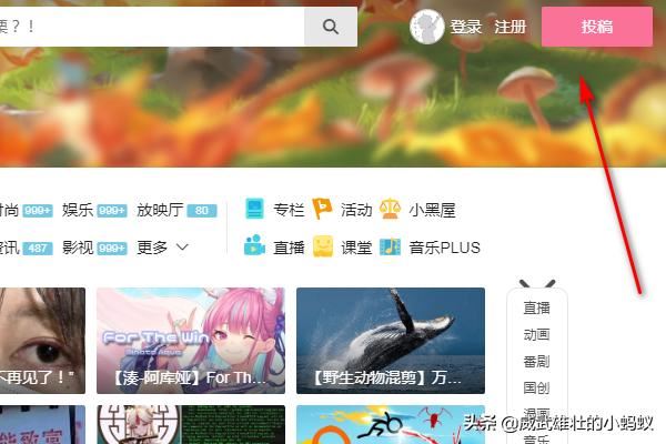 B站如何投稿互動(dòng)視頻？