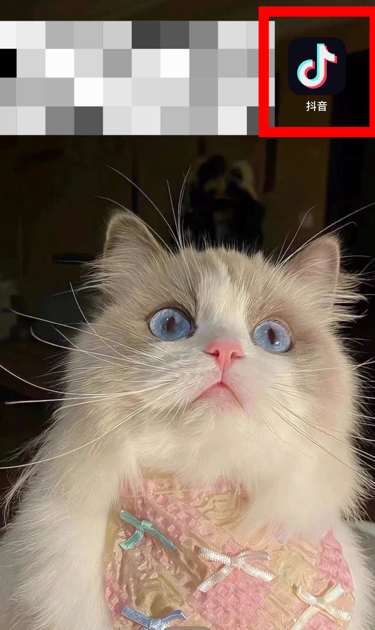 抖音怎么設(shè)置電話號碼在主頁？