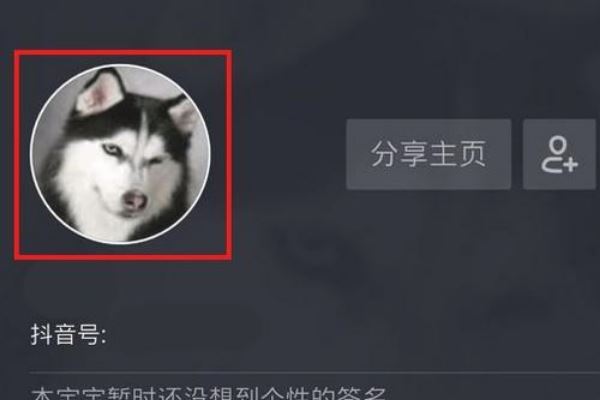 抖音怎么制作透明頭像？