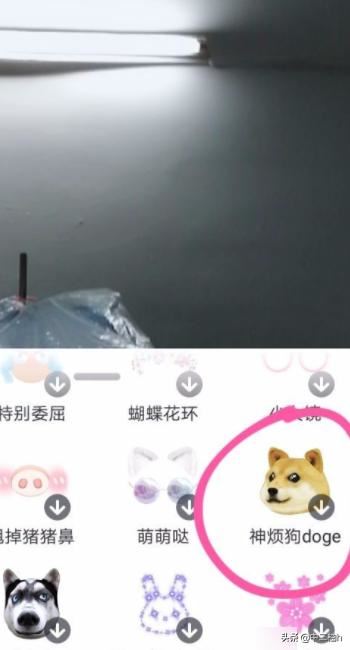 抖音如何甩狗頭？抖音甩狗頭怎么玩？