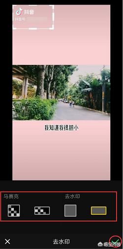 怎么去抖音水??？