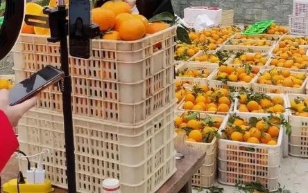 普通人如何在抖音創(chuàng)業(yè)？
