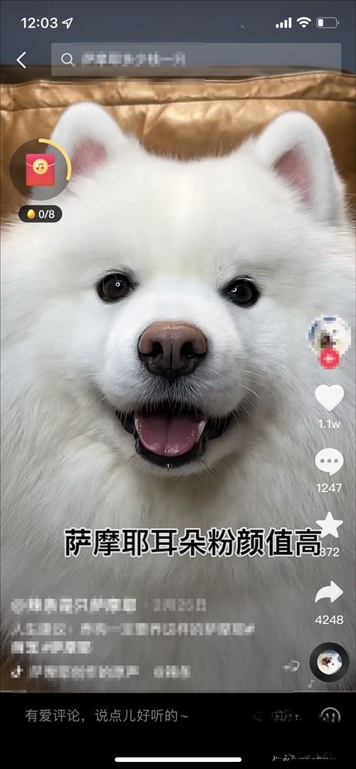 刷抖音怎么全屏無文字遮擋？