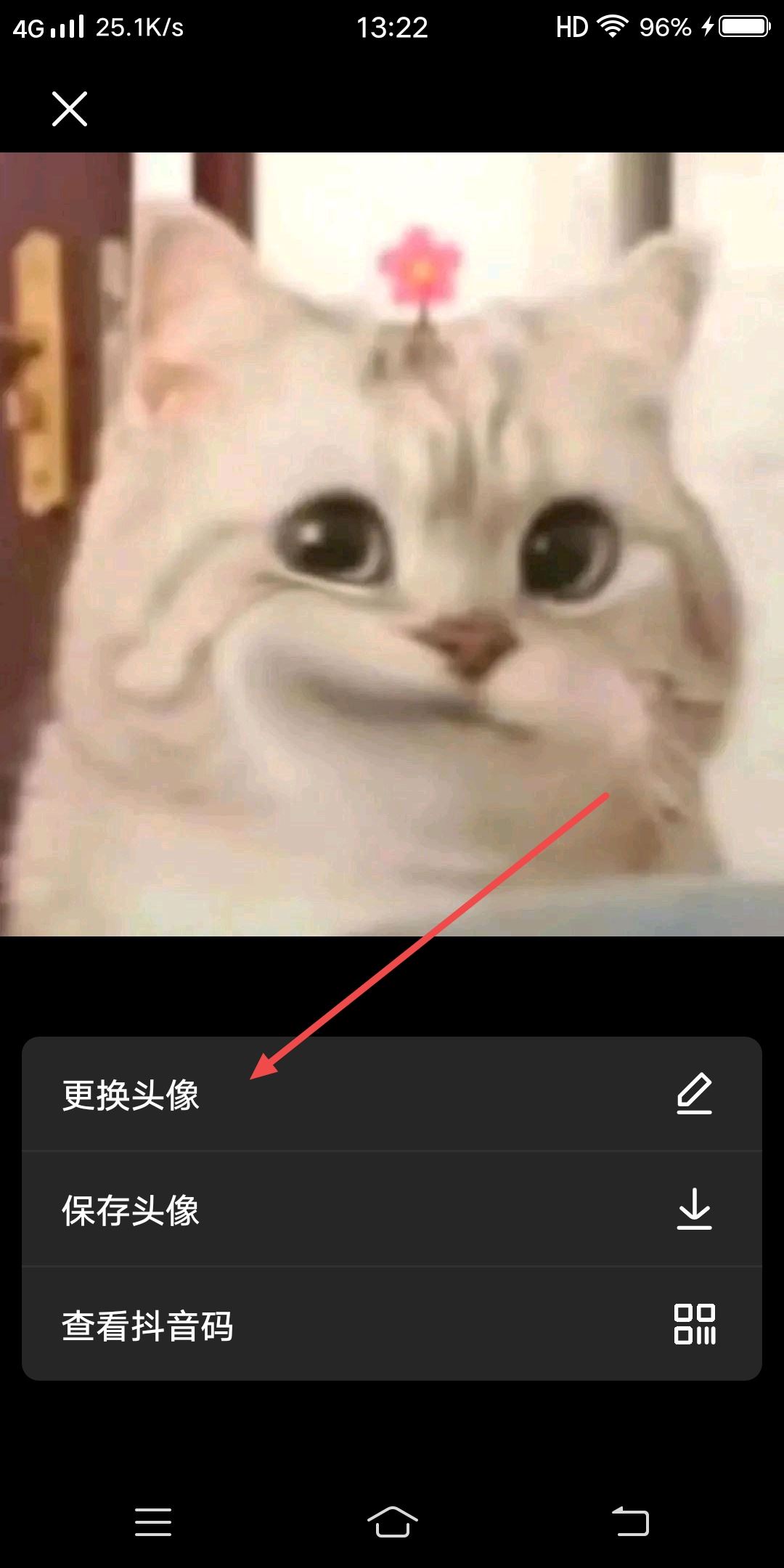 怎么把抖音轉(zhuǎn)動碟片變?yōu)樽约侯^像？
