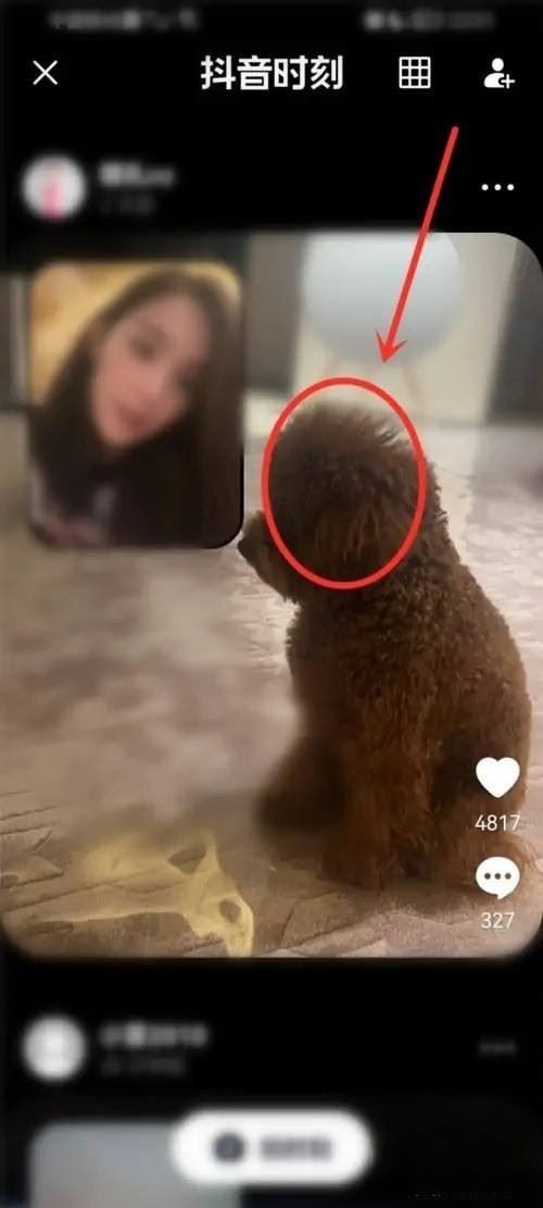 怎么看到別人的抖音時(shí)刻？
