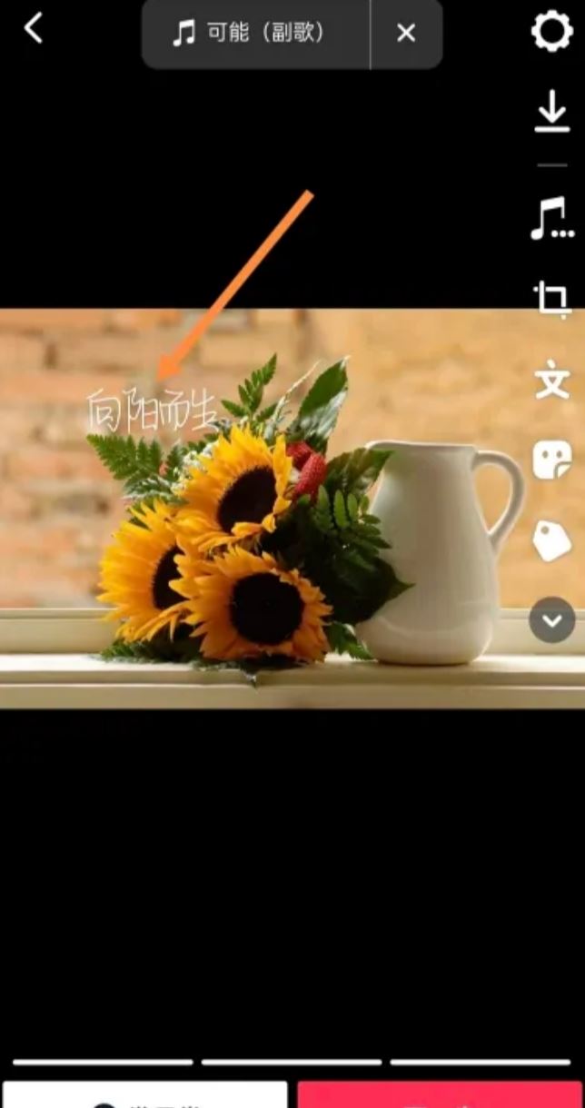 抖音圖片文字標(biāo)記怎么做？